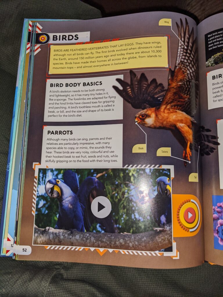 Living Planet Augmented Reality birds