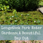 Longstock Park Water Gardens: A Beautiful Day Out
