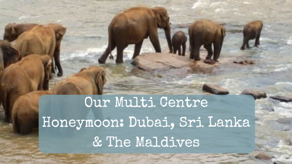 Our multi centre honeymoon